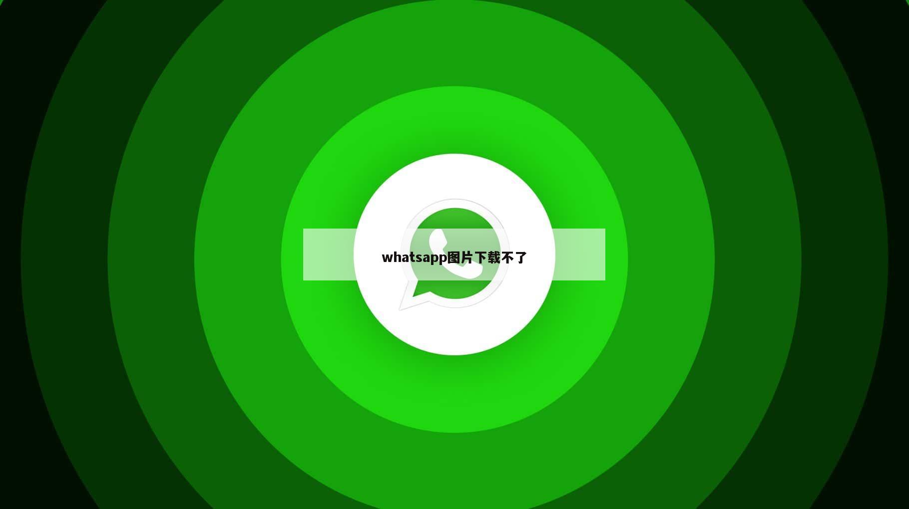 whatsapp图片下载不了